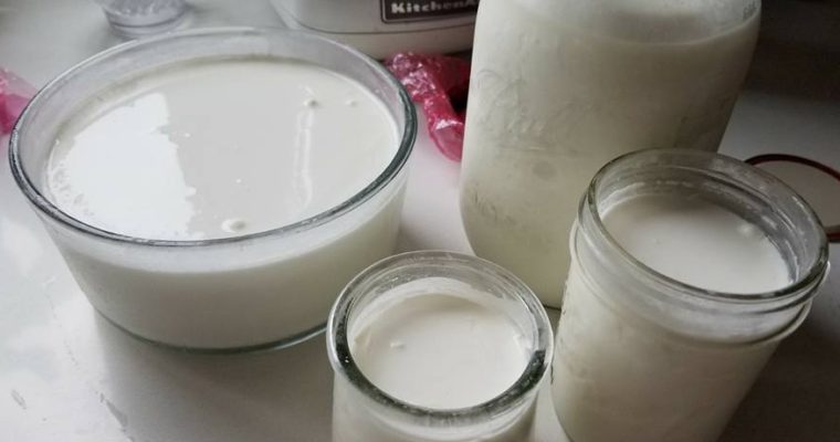 Greek Yogurt/Regular Yogurt